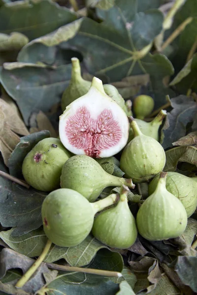 Ripe figs in with leaves