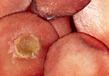 Beyaz arka plan üzerinde olgun siyah Erik