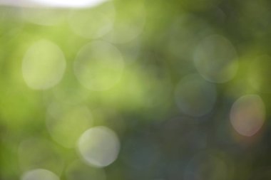 soyut dairesel yeşil bokeh arkaplanı