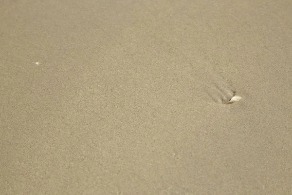 Желтый Песчаный Пляж Бланкетном Фоне — стоковое фото