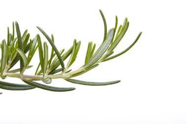 Pembe kiraz çiçeği, beyaz arka plan üzerinde izole sakura çiçekler,