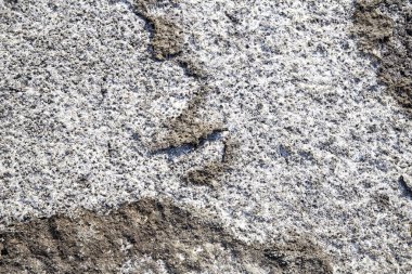 toprak tuz kristallerinin,