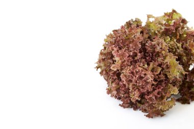 beyaz zemin üzerine kırmızı marul