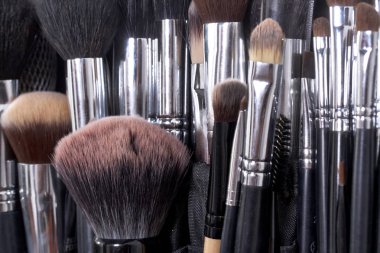 Makyaj fırçaları