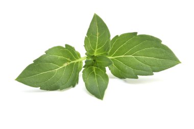 beyaz üzerine taze nane