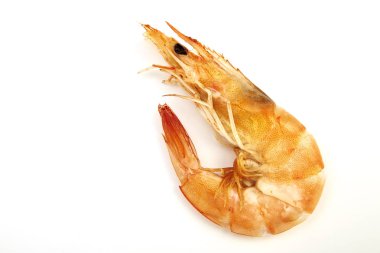 Beyaz arka plan üzerinde karides.