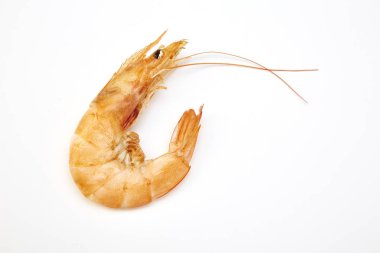 Beyaz arka plan üzerinde karides.