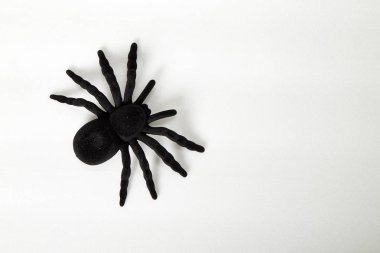 siyah örümcek oyuncak