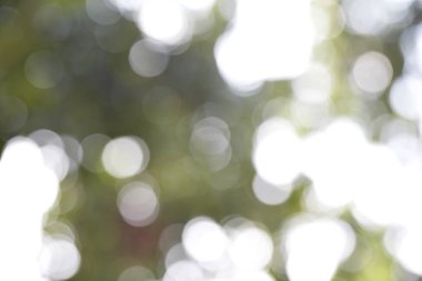 Yeşil bokeh arka plan