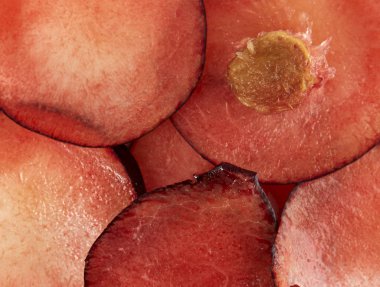  beyaz üzerine siyah Erik 