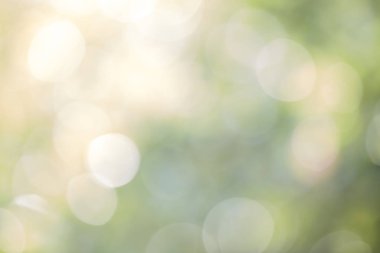 Yeşil bokeh arka plan