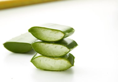Beyaz bir aloe vera