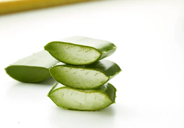 Aloe vera na bílé — Stock fotografie