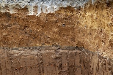 Kırmızı kalp ve stetoskop