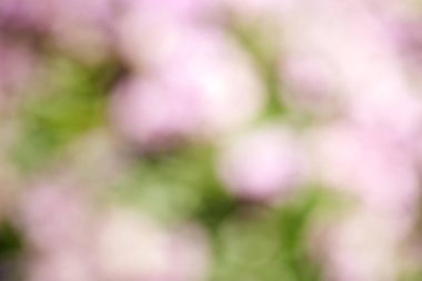 Doğanın soyut ışıklar