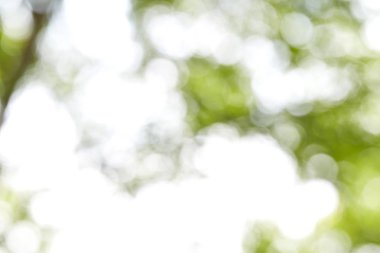 Soyut dairesel yeşil bokeh