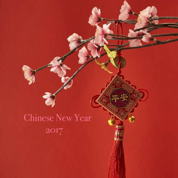 中国新年 — 图库照片