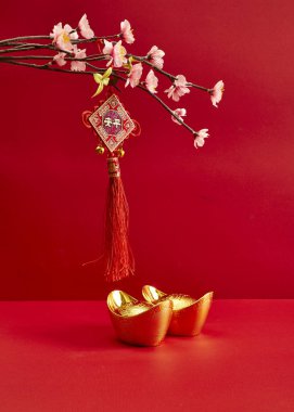 Çin Yeni Yıl Dekorasyonu