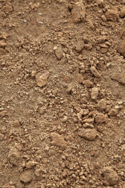 Tarım organik zemin 