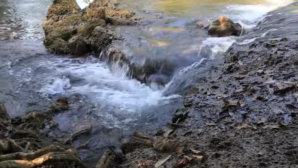 Correntes de pequenos fluxos de água — Vídeo de Stock