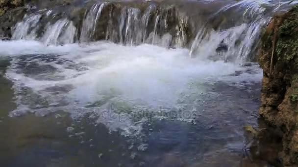 Strömmar av små vatten rinner — Stockvideo