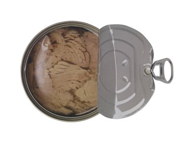 ton balığı üzerinde beyaz izole