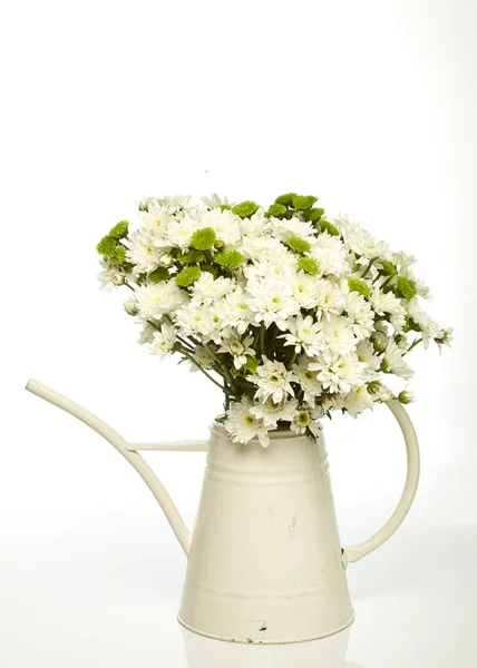 Schöner Strauß Gänseblümchen Der Vase Isoliert Auf Weiß — Stockfoto