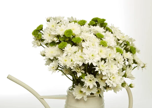 Beautiful Bouquet Daisies Vase Isolated White — Stock Photo, Image