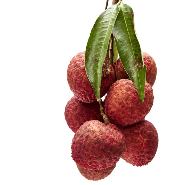 Fresh lychees with leaves — Stock Photo, Image