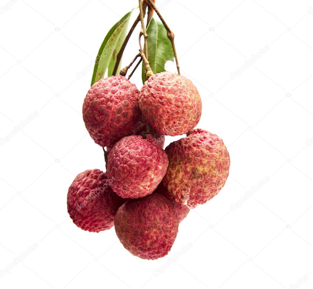 Fresh lychees with leaves 