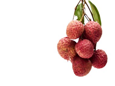 Yaprakları ile taze lychees 