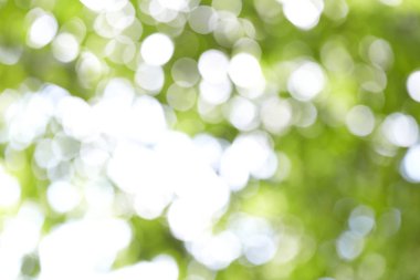 Bulanık doğal ve açık arkaplan 