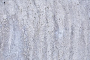 Grunge dokusu ve arkaplanı