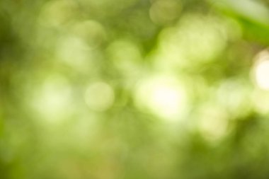 yeşil bokeh soyut ışık arkaplanı