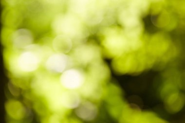 yeşil bokeh soyut ışık arkaplanı