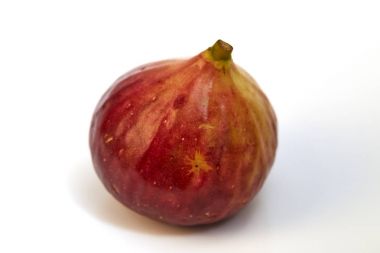 beyaz zemin üzerine incir