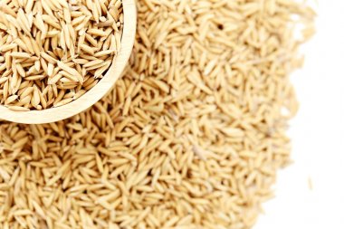 Kahverengi çeltik pirinç kapandı