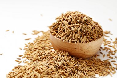 Kahverengi çeltik pirinç kapandı