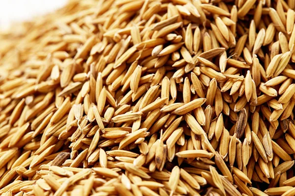 Beyaz arka planda çeltik pirinç