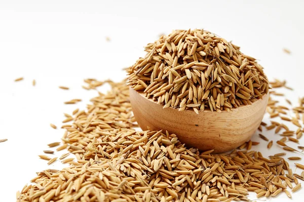 Kahverengi çeltik pirinç kapandı