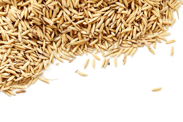 Arroz de arroz sobre fondo blanco — Foto de Stock