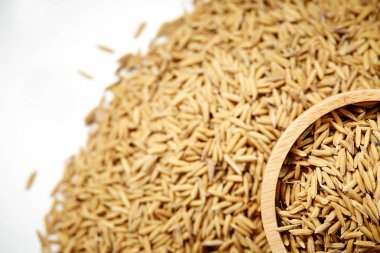 Kahverengi çeltik pirinç kapandı