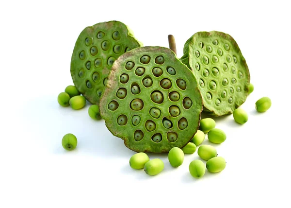 Lotus tohum yakın çekim 