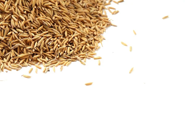 Arka plan kahverengi çeltik pirinç kapalı