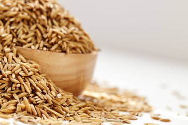 Kahverengi çeltik pirinç kapandı