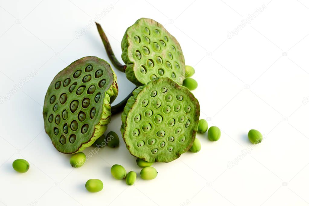 lotus seed close up 