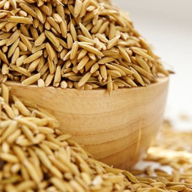 Kahverengi çeltik pirinç kapandı