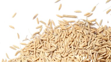 Arka plan kahverengi çeltik pirinç kapalı