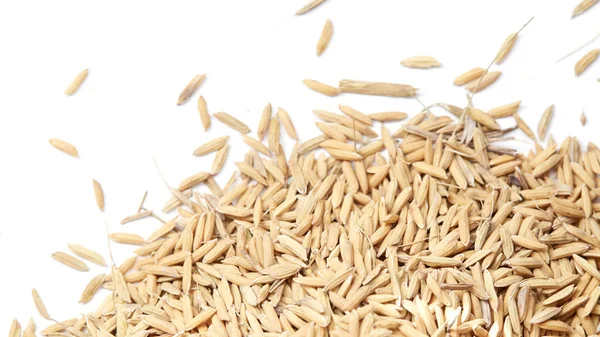 Arroz paddy marrom fechado fundo — Fotografia de Stock