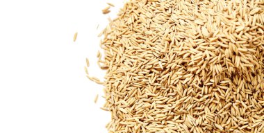 Beyaz arka planda çeltik pirinç